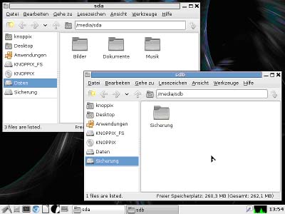 knoppis_2fenster