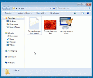 Source: http://www.bleepstatic.com/images/news/ransomware/nemucod-crypted/drag-files.gif